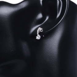 Radiant Flow Earrings